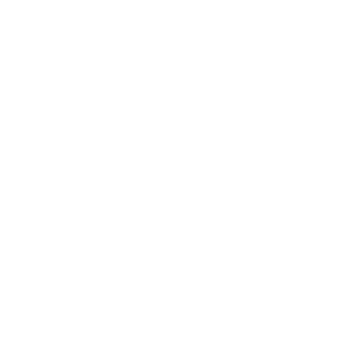 Project visit icon