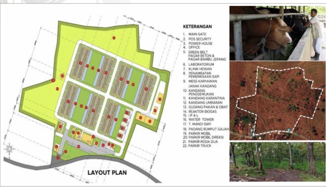 Integrated Farming Beef Cattle Jombang