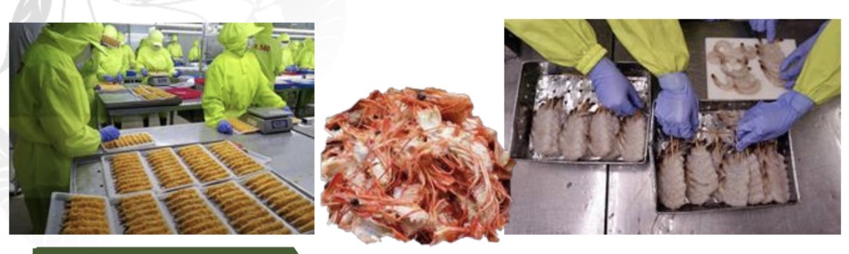 Integrated Shrimp Processing Industry